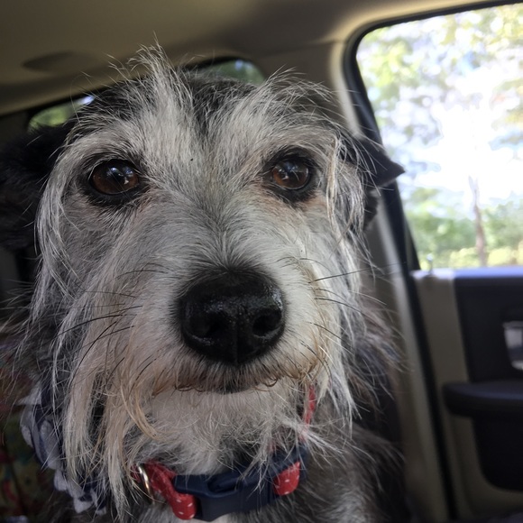 Welcome to my Closet! PearlGoodBones LOVE POSHING - Picture 2 of 6